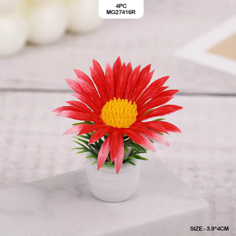 Miniature Flowering Plant | 4 Pc