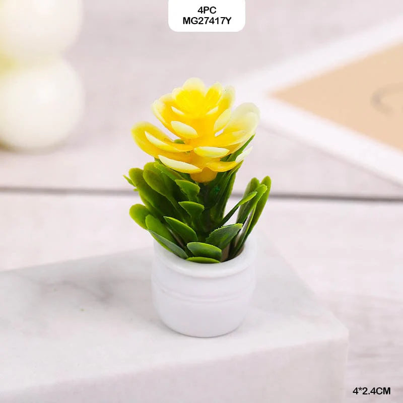 Miniature Flowering Plant | 4 Pc