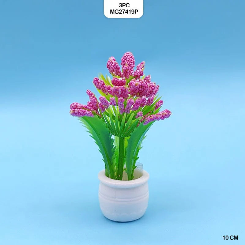 Miniature Flowering Plant | 3 pc